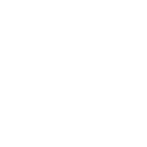 IconSinLuzBl